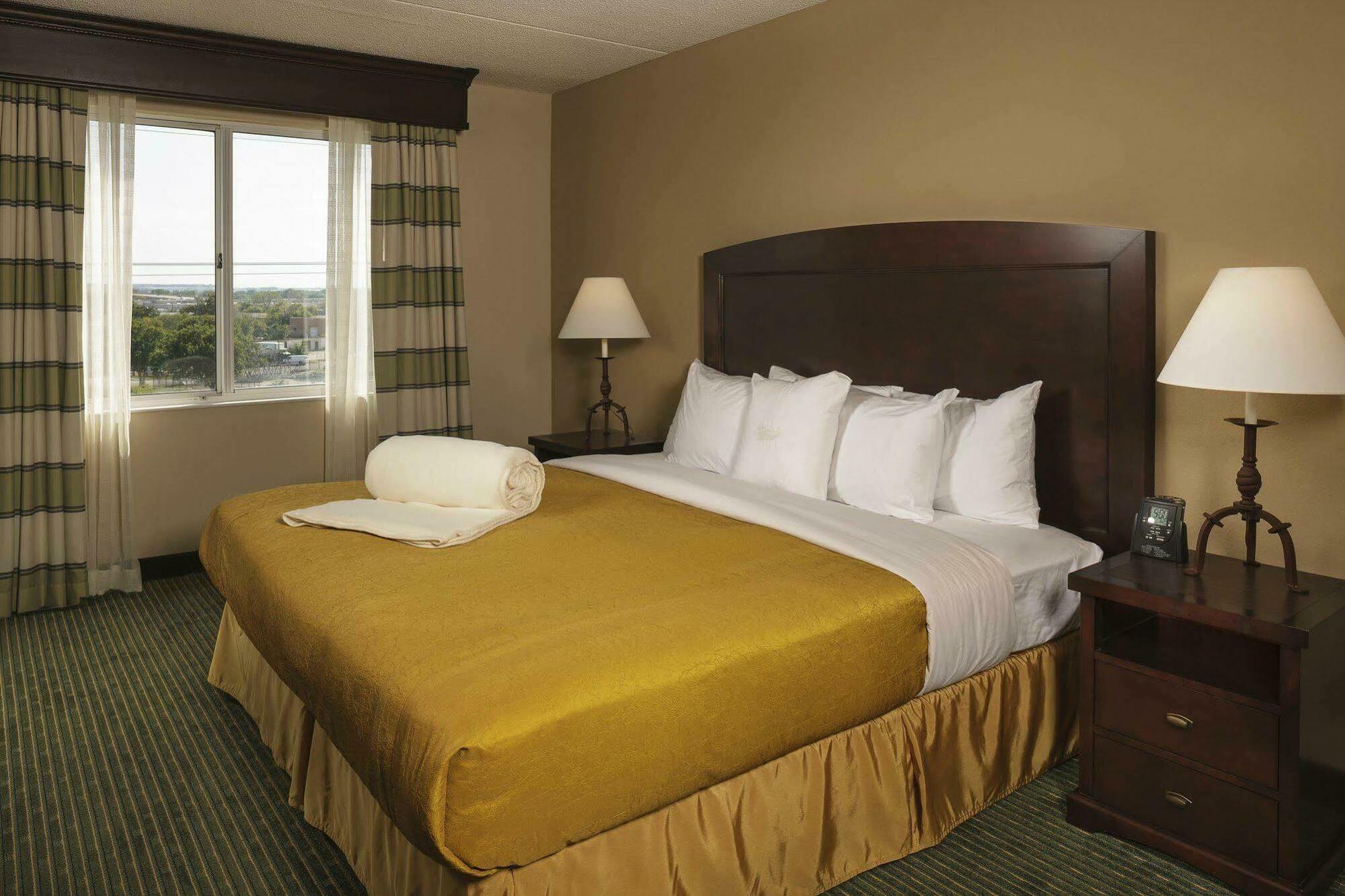 Homewood Suites By Hilton Dallas Market Center Quarto foto